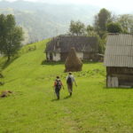 Easy Hike in Romania